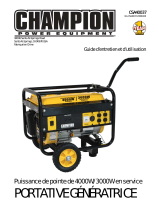 Champion Power Equipment40037