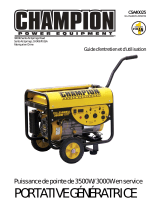 Champion Power Equipment40025