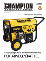 Champion Power Equipment40017