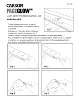 Carson PG-10R Mode d'emploi