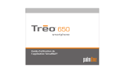 Palm Treo 650 VersaMail Le manuel du propriétaire