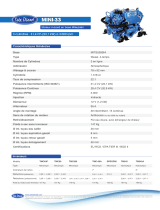 Solé Diesel MINI-33 v0 Technical datasheet