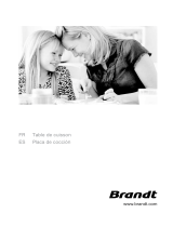 Groupe Brandt TI1411X Le manuel du propriétaire