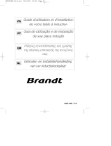 Brandt TI382BT1 Le manuel du propriétaire