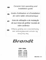 Groupe Brandt TV210BT1 Le manuel du propriétaire