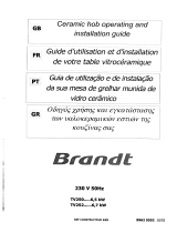 Groupe Brandt TV252XT1 Le manuel du propriétaire