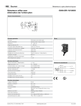 Baumer O200.GR-GL1E.72NV/H006_T007 Fiche technique