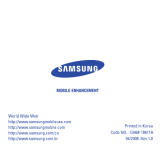 Samsung WEP301 Silver Manuel utilisateur