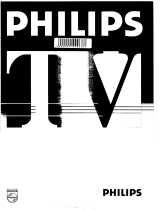 Philips 21PT350A Manuel utilisateur