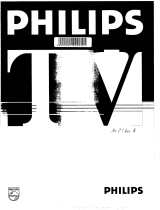 Philips 14PT300A Manuel utilisateur