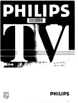 Philips 28PV5776 Manuel utilisateur