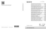 Sony DSC-WX200 Le manuel du propriétaire