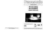 Panasonic NVGS120EG Mode d'emploi