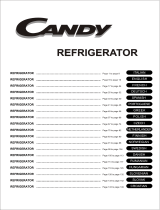 Candy CCL210 Le manuel du propriétaire