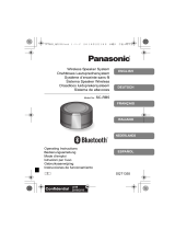 Panasonic SC-RB5E Le manuel du propriétaire