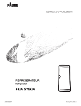 Faure FBA6160A Le manuel du propriétaire