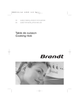 Brandt TE541WF1 Le manuel du propriétaire