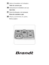 Brandt TE576XS1 Le manuel du propriétaire