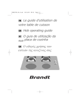 Brandt TI213BS1 Le manuel du propriétaire