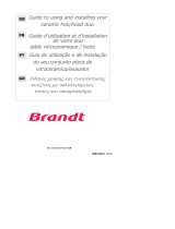 Groupe Brandt TV399XF1 Le manuel du propriétaire