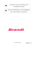 Brandt TI302BS1 Le manuel du propriétaire