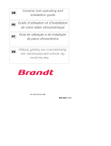 Groupe Brandt TV321BT1 Le manuel du propriétaire