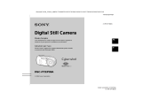 Sony Cyber-Shot DSC P93A Le manuel du propriétaire