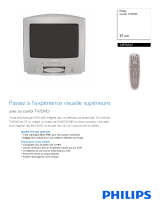 Philips 14PT6107/01 Product Datasheet