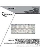 Gembird KB-P6-BT Manuel utilisateur