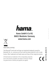 Hama 00173179 Le manuel du propriétaire