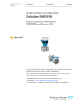 Endres+Hauser Deltabar PMD55B Short Instruction