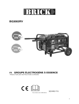 BRICK BG3002RV Le manuel du propriétaire
