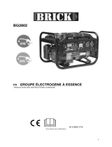 BRICK BG2802 Le manuel du propriétaire