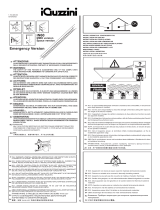 iGuzzini R539 Guide d'installation