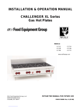 ITW Food Equipment Group CCT24 Mode d'emploi