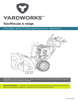 Champion Power Equipment100668