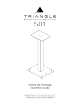 Triangle S01 Manuel utilisateur