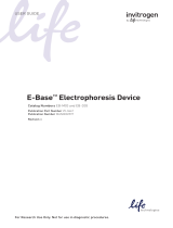 Thermo Fisher Scientific E-Base Electrophoresis Mode d'emploi
