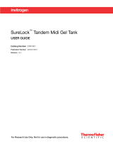 Thermo Fisher ScientificSureLock Tandem Midi Gel Tank