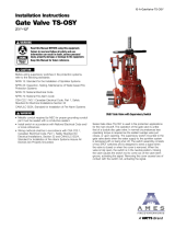 Ames Fire & Waterworks Gate Valve TS-OSY Guide d'installation